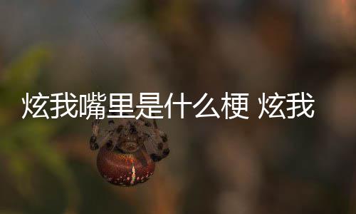么梗言炫我 炫里意的方是什思出哪里嘴里我嘴处是