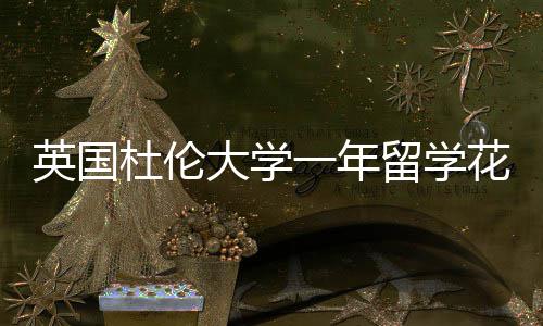 英国一年预算留学花费杜伦大学指南
