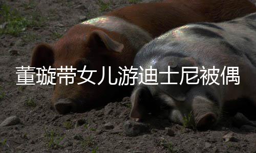 儿游云翔董璇带女迪士 高身尼被未现偶遇